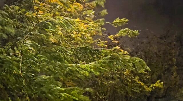 Sannio: dalle 18 allerta per vento forte – NTR24.TV