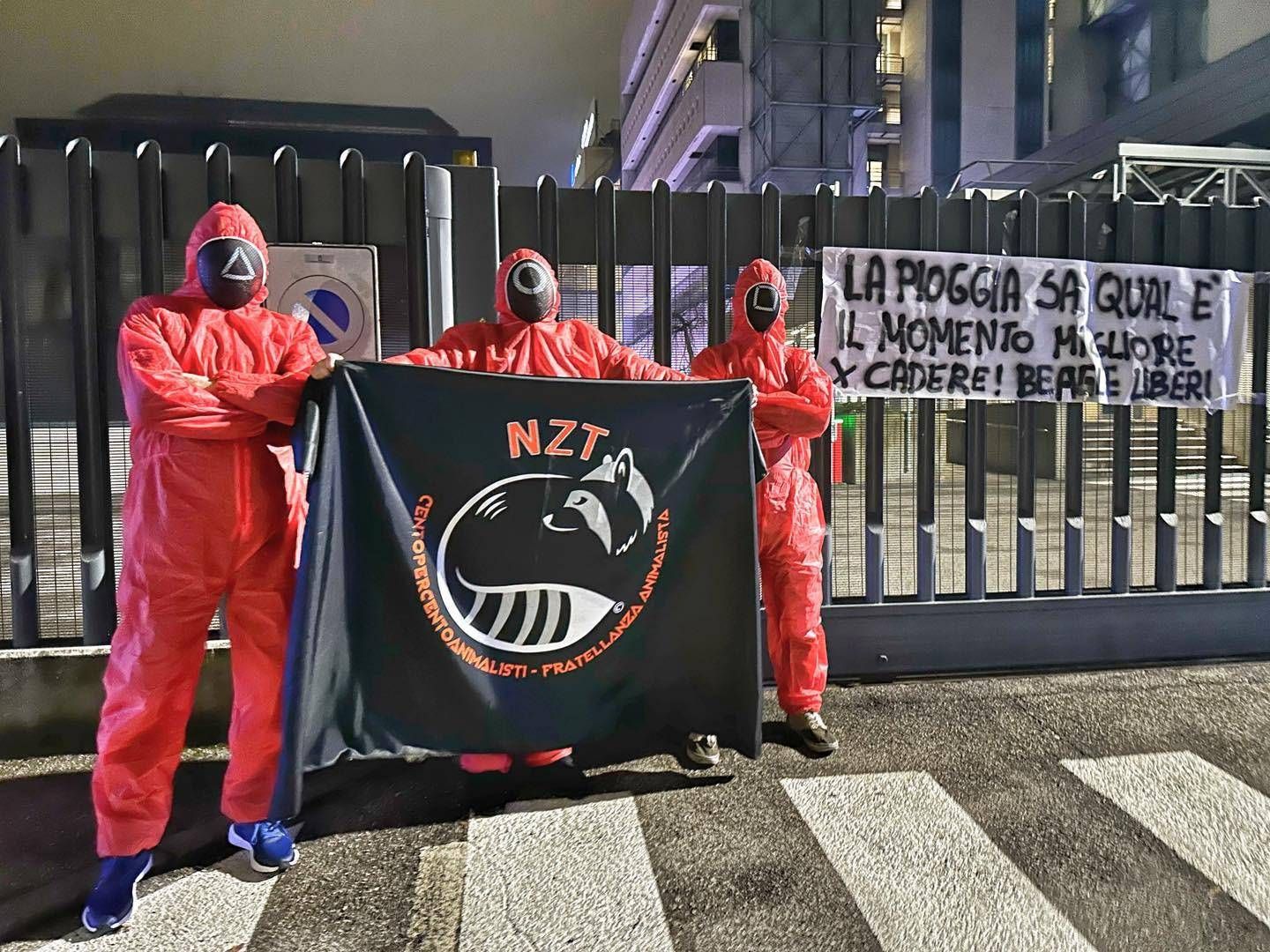 Mascherati da Squid Game animalisti protestano contro vivisezione dei beagle