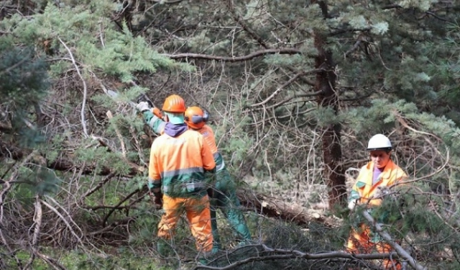 Avviati al lavoro i 28 operai forestali a tempo determinato della Provincia – NTR24.TV