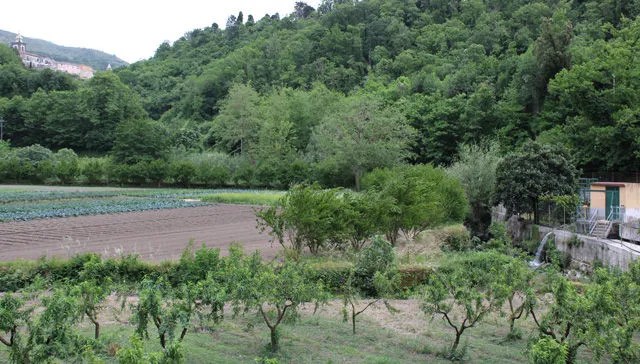 Depuratore Scafa, i comitati Paesaggi Sanniti e SOS Sanità chiedono accesso agli atti – NTR24.TV