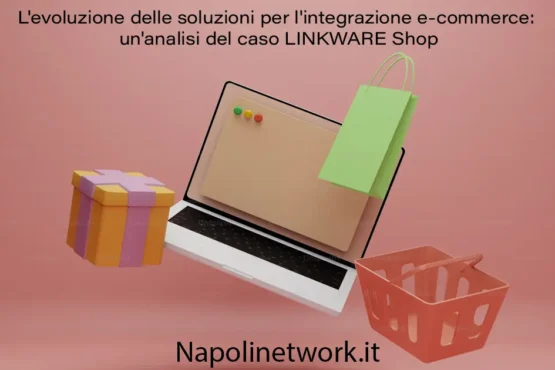 evoluzione delle soluzioni per integrazione e-commerce analisi del caso LINKWARE Shop