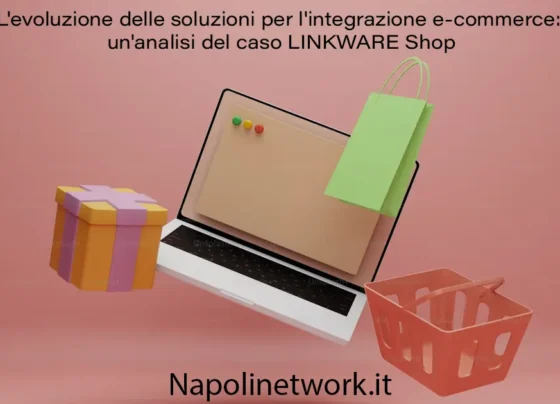 evoluzione delle soluzioni per integrazione e-commerce analisi del caso LINKWARE Shop