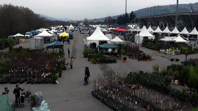 Fiera di San Giuseppe, il dispositivo traffico – NTR24.TV