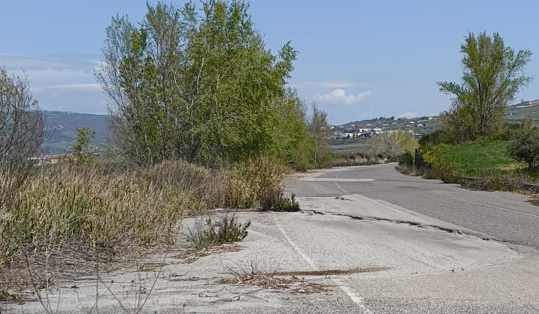 Via Dormiente del Sannio, la denuncia: ‘Necessario intervento urgente anche in vista di CampaniAlleva Expo’ – NTR24.TV