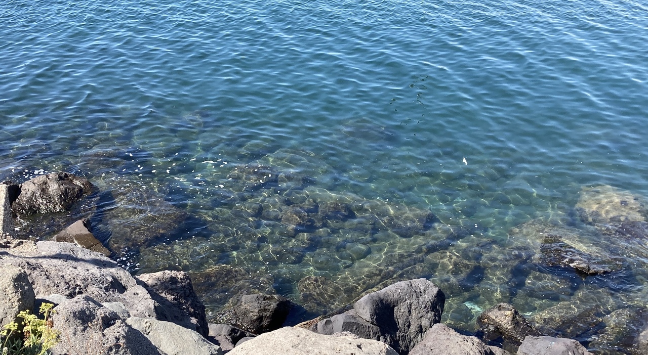 Sub 54enne trovato morto in mare