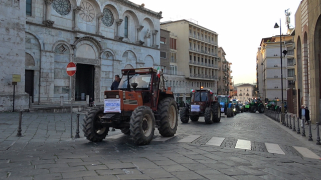 Coldiretti celebra il “Giubileo dell’Agricoltura”: domenica 300 trattori a Pietrelcina – NTR24.TV