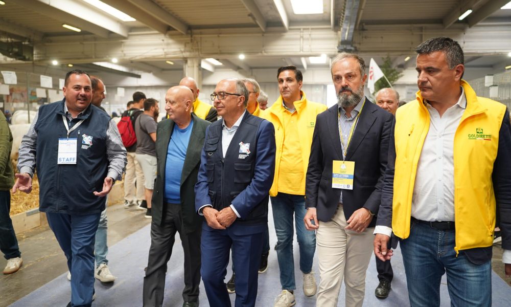 CampaniAlleva Expo 2025 prosegue a gonfie vele: al Cecas previsto il picco di visitatori – NTR24.TV