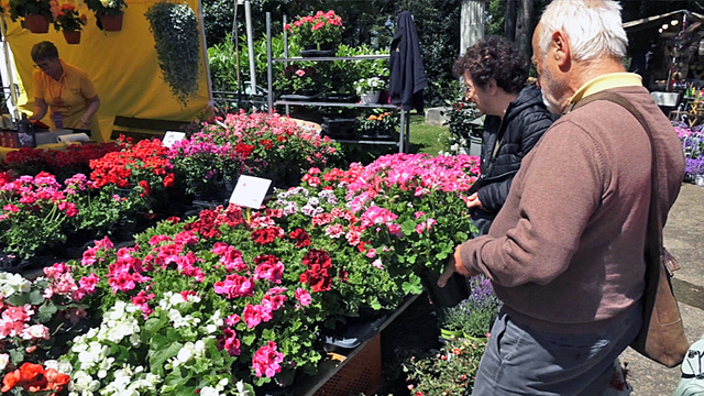 Esplosione di colori in Villa Comunale per ‘Benevento in fiore’: la mostra-mercato green protagonista fino a domenica – NTR24.TV