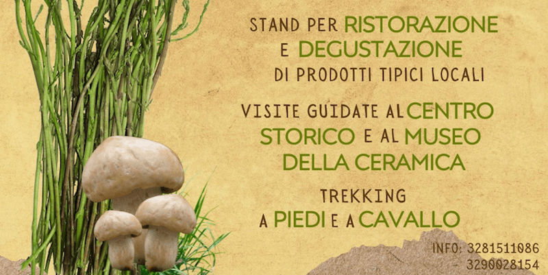 “Asparagi e Virni in Festa”, l’evento il prossimo week end a Cerreto Sannita – NTR24.TV