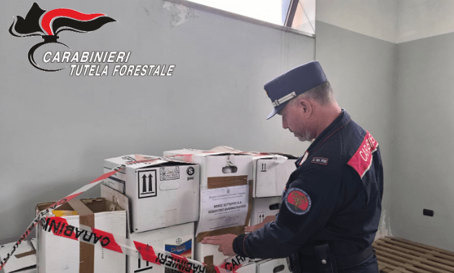 San Giorgio del Sannio, ispezione in azienda agricola: sequestrati oltre 400 kg di prodotti fitosanitari – NTR24.TV
