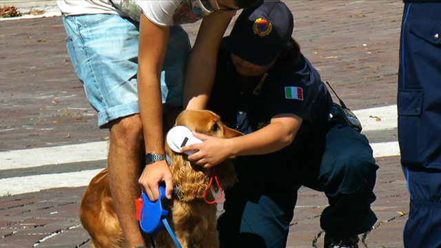 Airola promuove la microchippatura gratuita dei cani: una giornata per contrastare il randagismo e sensibilizzare i cittadini – NTR24.TV