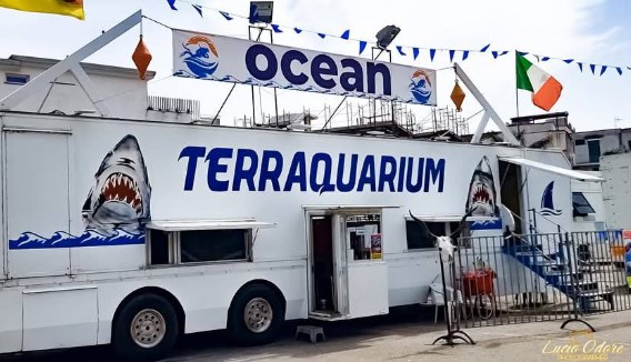 Benevento, arriva Terraquarium: torna il dibattito sugli animali negli spettacoli itineranti. Martedì nuova riunione in Commissione – NTR24.TV