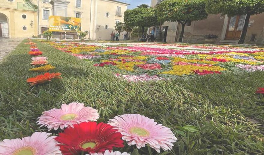 Sant’Agata de’ Goti, tutto pronto per l’edizione 2025 dell’Infiorata e dei Tappeti Artistici – NTR24.TV