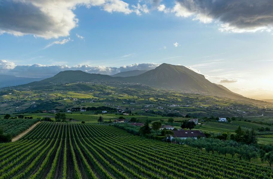 Sannio Consorzio Tutela Vini: dal 16 al 18 giugno quattro appuntamenti per valorizzare e promuovere il territorio – NTR24.TV