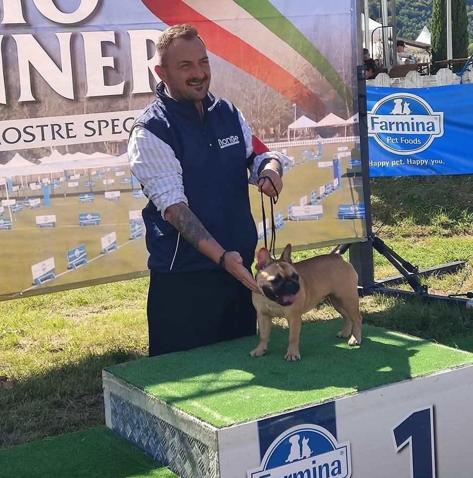 Forza Italia. Giovanni De Stefano alla guida provinciale del Dipartimento benessere degli animali